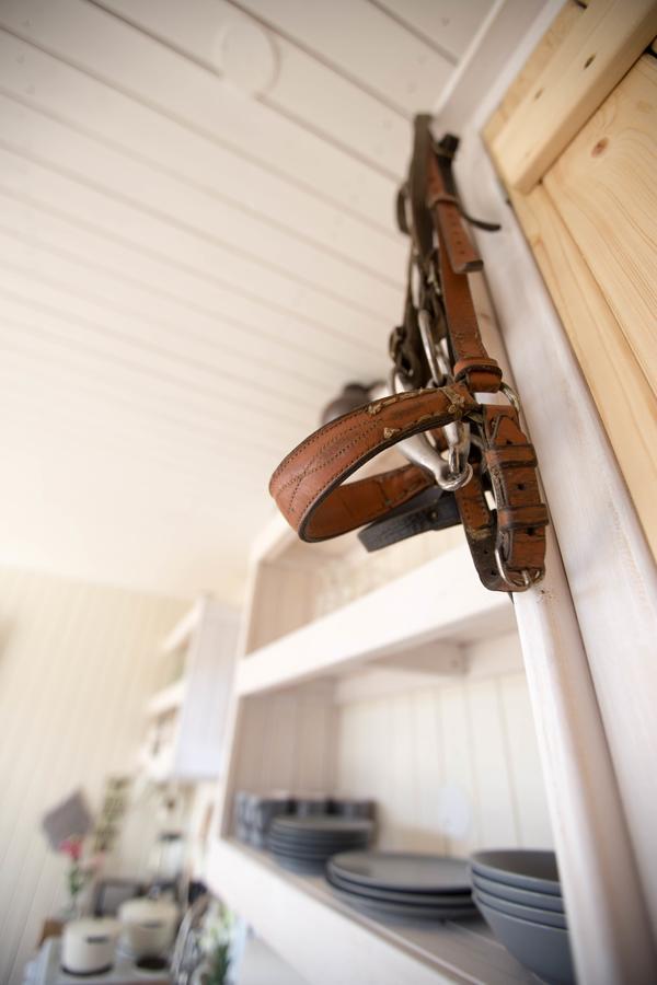 Akurgerthi Guesthouse 6 - Country Life Style Olfus Esterno foto